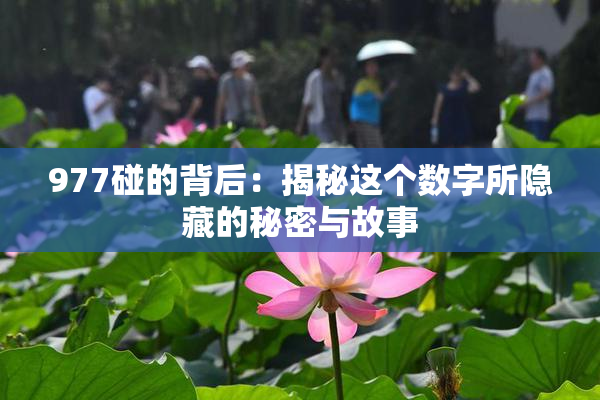 977碰的背后：揭秘这个数字所隐藏的秘密与故事