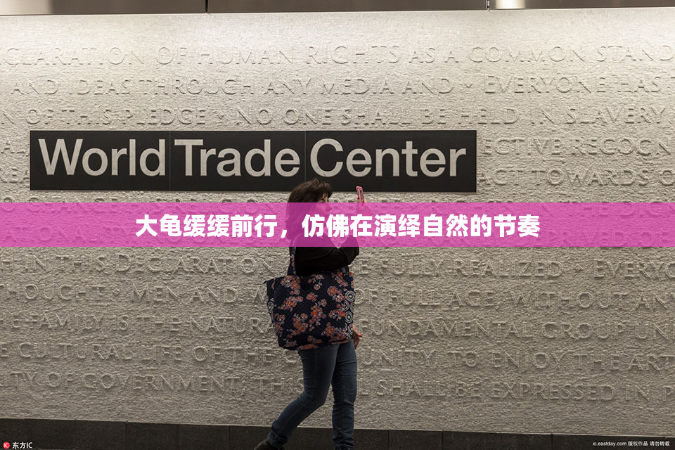 大龟缓缓前行，仿佛在演绎自然的节奏