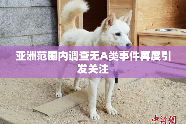 亚洲范围内调查无A类事件再度引发关注