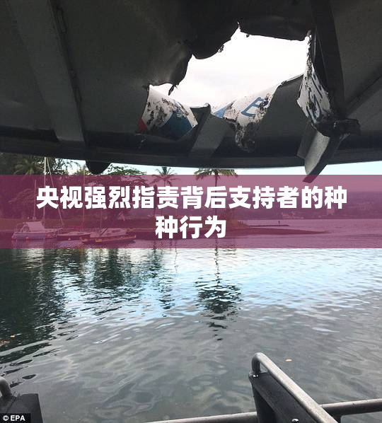 央视强烈指责背后支持者的种种行为