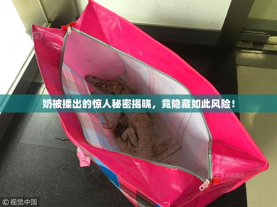 奶被揉出的惊人秘密揭晓，竟隐藏如此风险！