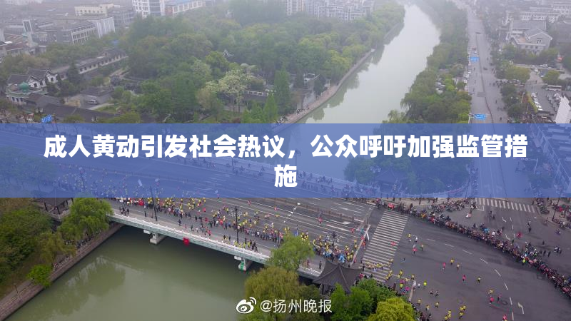 成人黄动引发社会热议，公众呼吁加强监管措施
