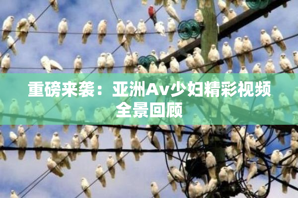 重磅来袭：亚洲Av少妇精彩视频全景回顾