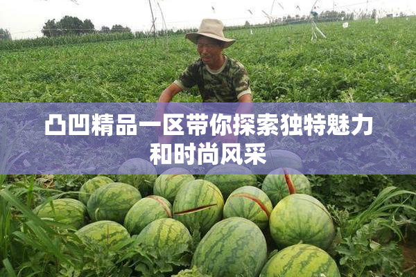凸凹精品一区带你探索独特魅力和时尚风采