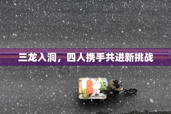 三龙入洞，四人携手共进新挑战