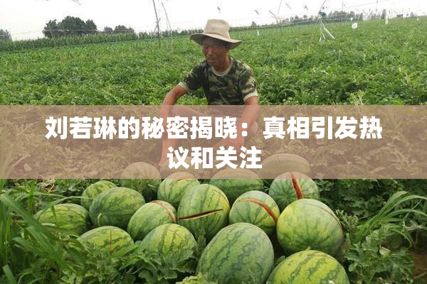 刘若琳的秘密揭晓：真相引发热议和关注