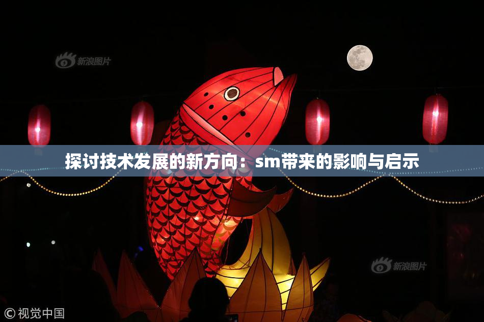探讨技术发展的新方向：sm带来的影响与启示