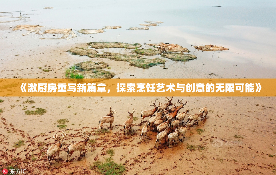 《激厨房重写新篇章，探索烹饪艺术与创意的无限可能》