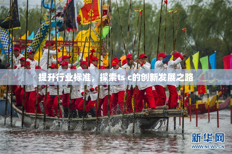 提升行业标准，探索ts c的创新发展之路