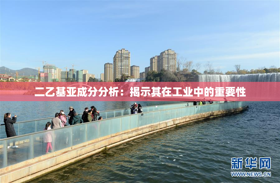 二乙基亚成分分析：揭示其在工业中的重要性