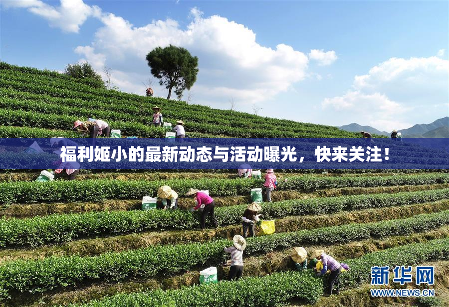 福利姬小的最新动态与活动曝光，快来关注！