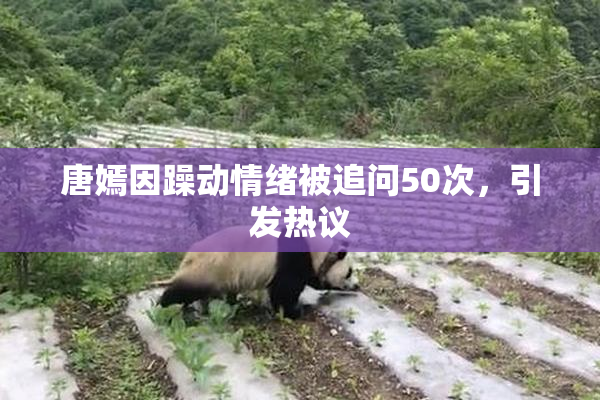 唐嫣因躁动情绪被追问50次，引发热议