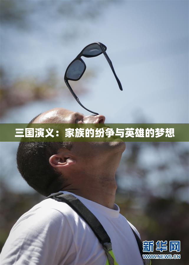 三国演义：家族的纷争与英雄的梦想