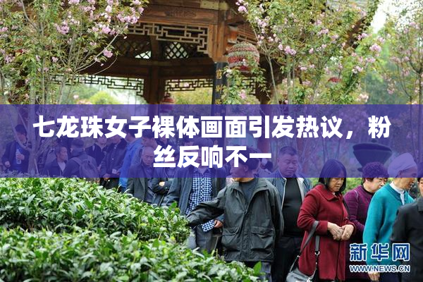七龙珠女子裸体画面引发热议，粉丝反响不一
