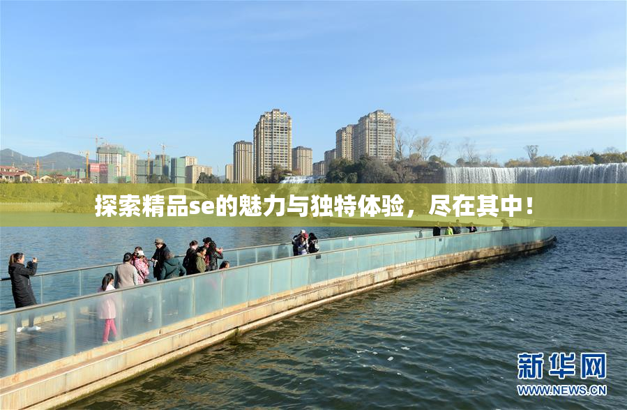 探索精品se的魅力与独特体验，尽在其中！