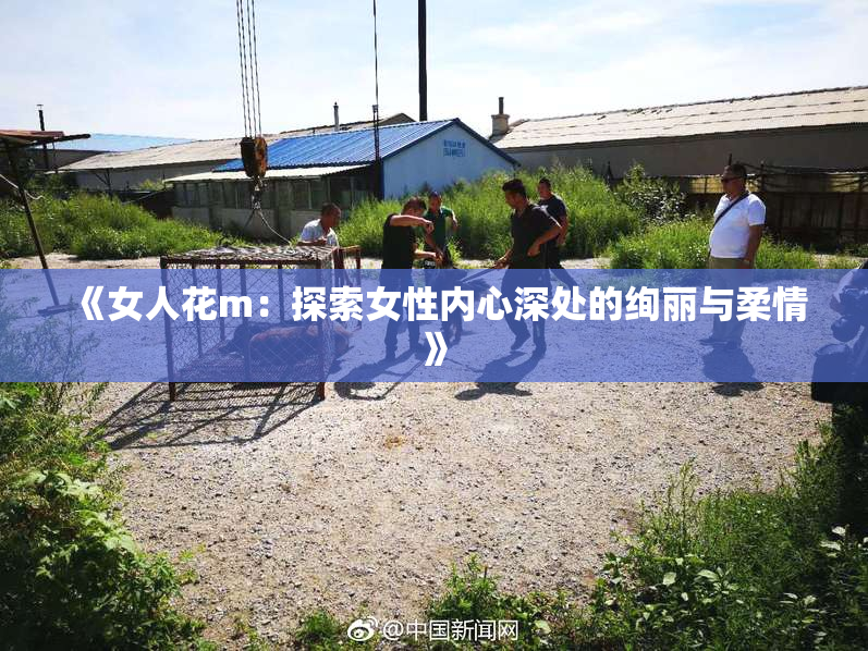 《女人花m：探索女性内心深处的绚丽与柔情》