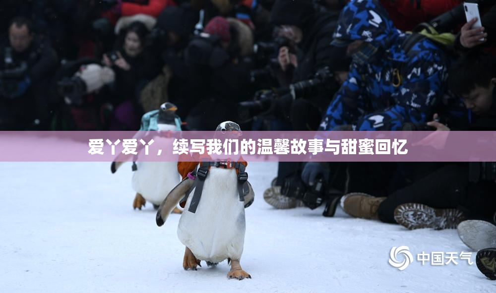 爱丫爱丫，续写我们的温馨故事与甜蜜回忆