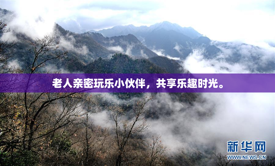 老人亲密玩乐小伙伴，共享乐趣时光。