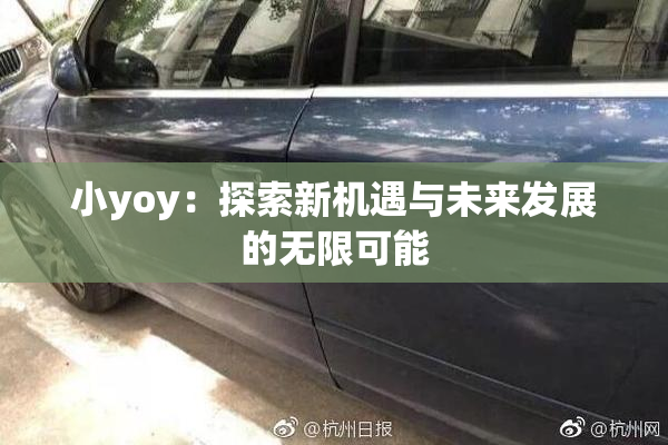 小yoy：探索新机遇与未来发展的无限可能
