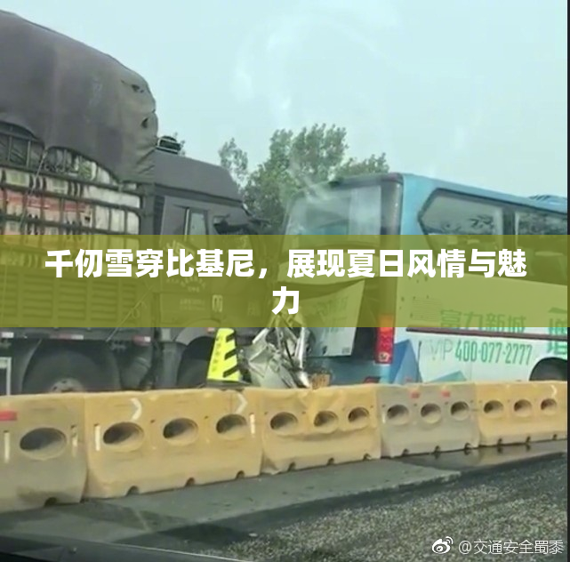 千仞雪穿比基尼，展现夏日风情与魅力