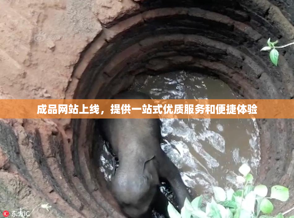 成品网站上线，提供一站式优质服务和便捷体验