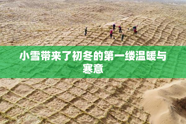 小雪带来了初冬的第一缕温暖与寒意
