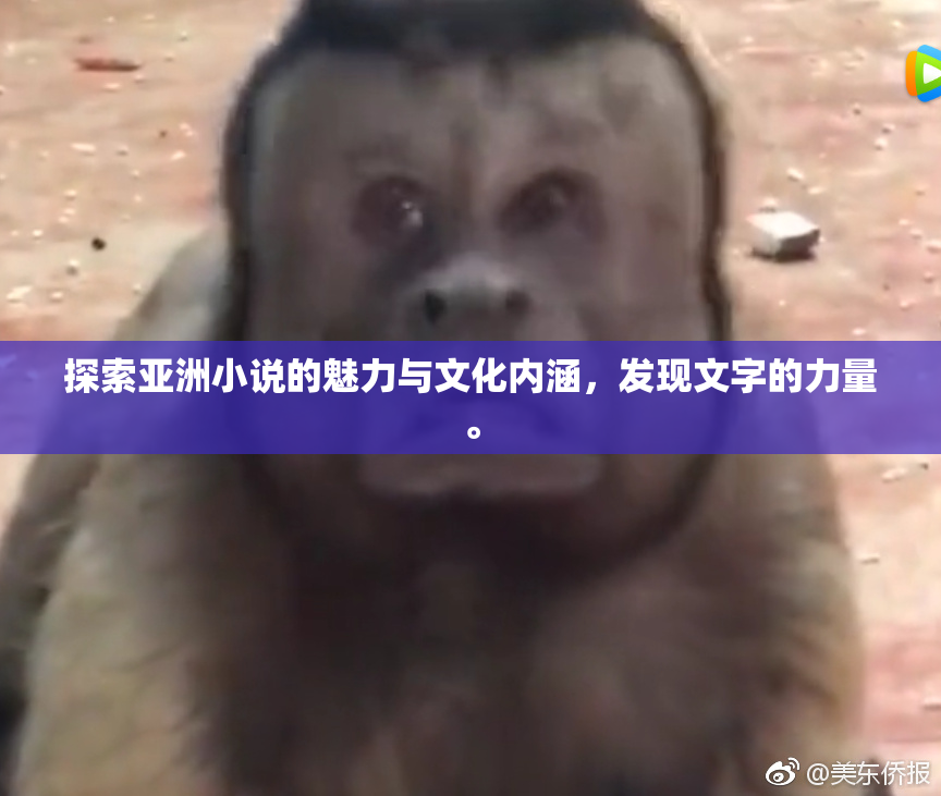探索亚洲小说的魅力与文化内涵，发现文字的力量。