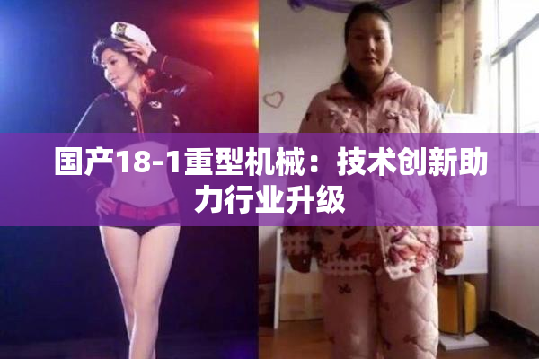国产18-1重型机械：技术创新助力行业升级