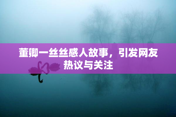 董卿一丝丝感人故事，引发网友热议与关注