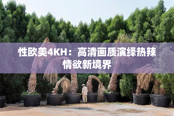 性欧美4KH：高清画质演绎热辣情欲新境界