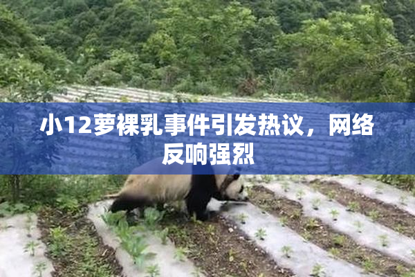小12萝裸乳事件引发热议，网络反响强烈