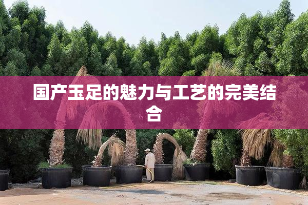 国产玉足的魅力与工艺的完美结合