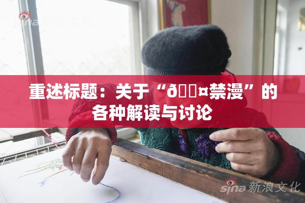 重述标题：关于“🖤禁漫”的各种解读与讨论