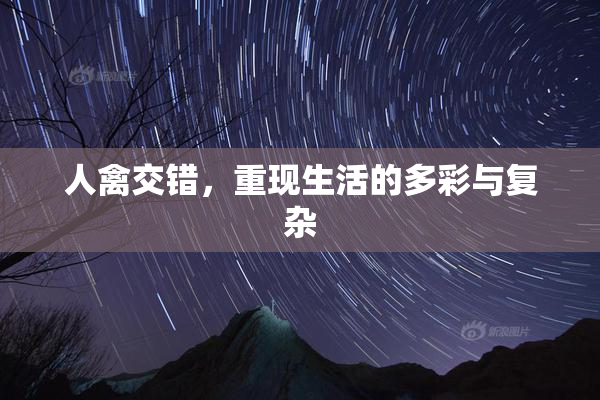 人禽交错，重现生活的多彩与复杂