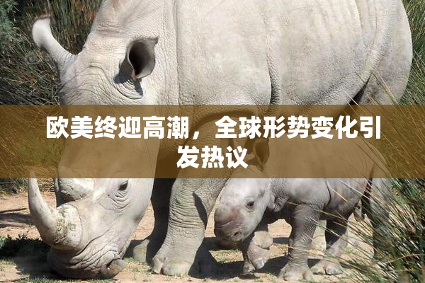 欧美终迎高潮，全球形势变化引发热议