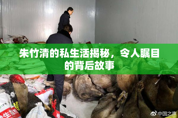 朱竹清的私生活揭秘，令人瞩目的背后故事