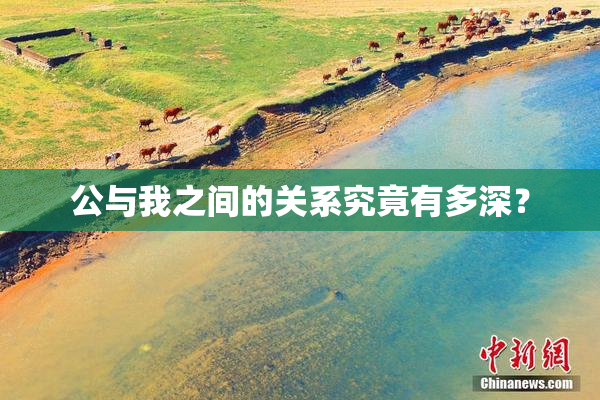公与我之间的关系究竟有多深？