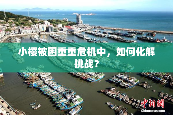 小樱被困重重危机中，如何化解挑战？