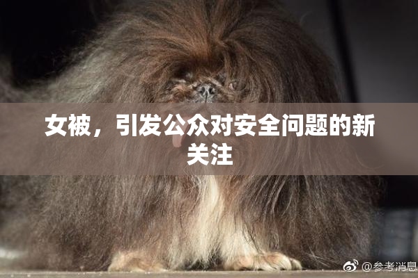女被，引发公众对安全问题的新关注