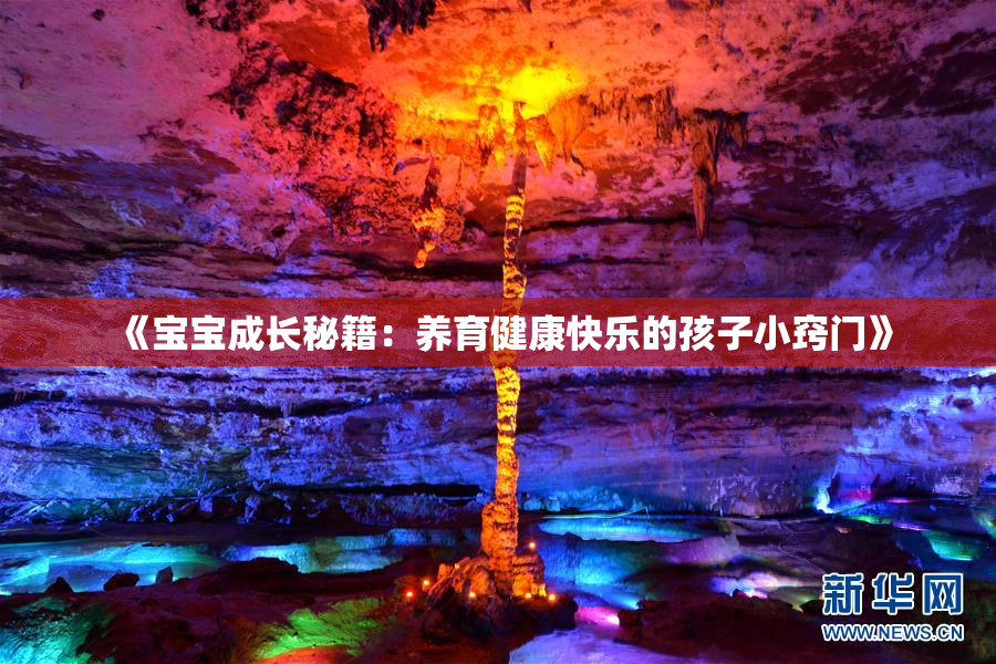 《宝宝成长秘籍：养育健康快乐的孩子小窍门》