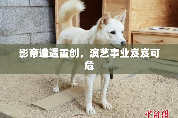 影帝遭遇重创，演艺事业岌岌可危