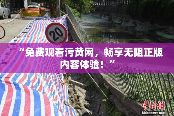 “免费观看污黄网，畅享无阻正版内容体验！”