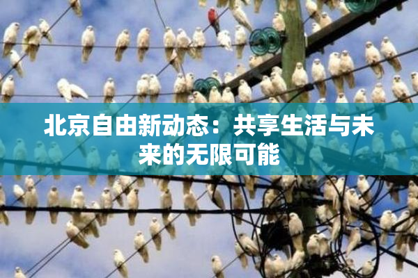 北京自由新动态：共享生活与未来的无限可能