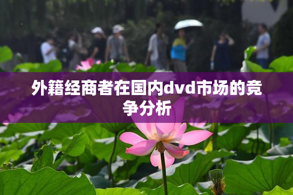 外籍经商者在国内dvd市场的竞争分析