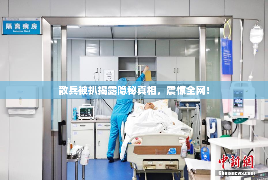 散兵被扒揭露隐秘真相，震惊全网！
