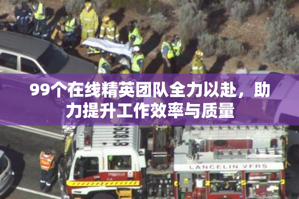 99个在线精英团队全力以赴，助力提升工作效率与质量