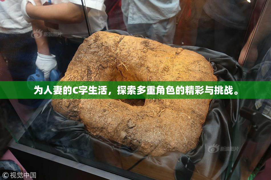 为人妻的C字生活，探索多重角色的精彩与挑战。