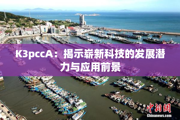 K3pccA：揭示崭新科技的发展潜力与应用前景