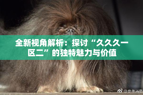 全新视角解析：探讨“久久久一区二”的独特魅力与价值