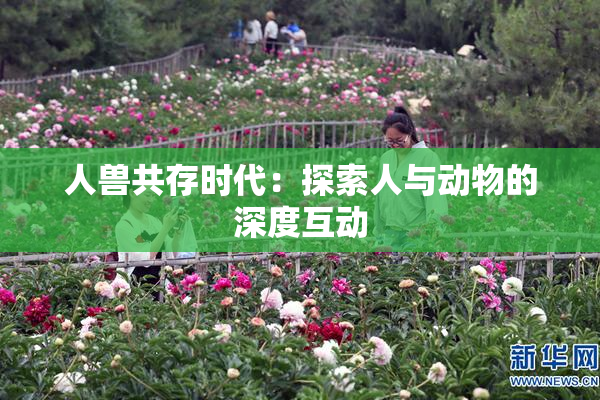 人兽共存时代：探索人与动物的深度互动